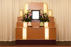 心プラン 心プラン