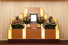 光プラン 光プラン