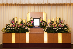 雅プラン 雅プラン